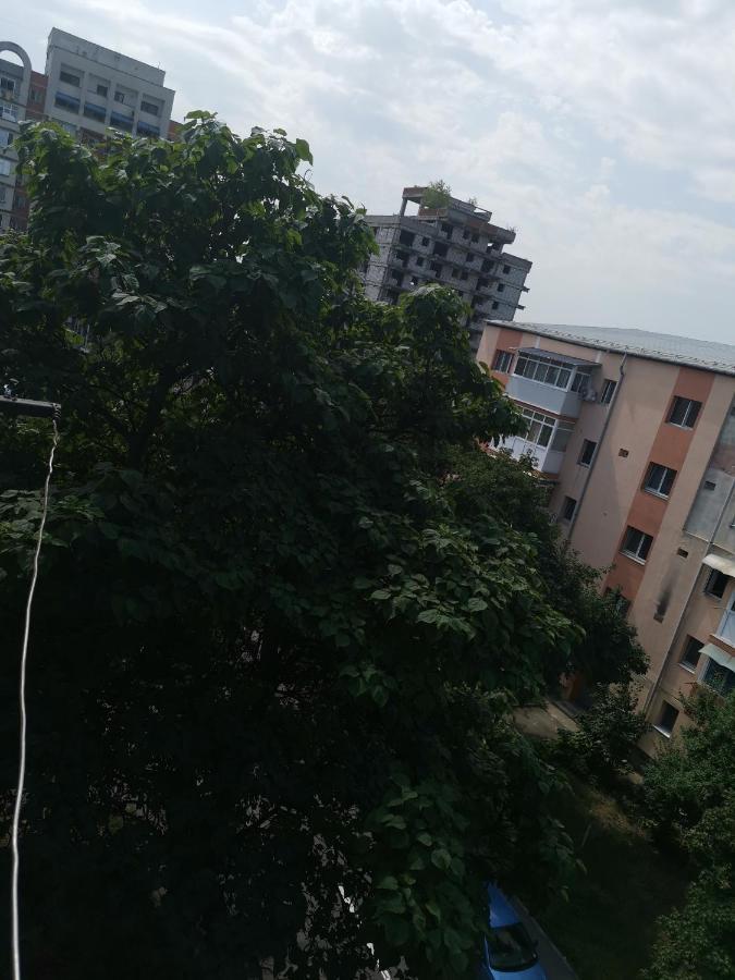 Bloom Box Apartments Craiova Dış mekan fotoğraf