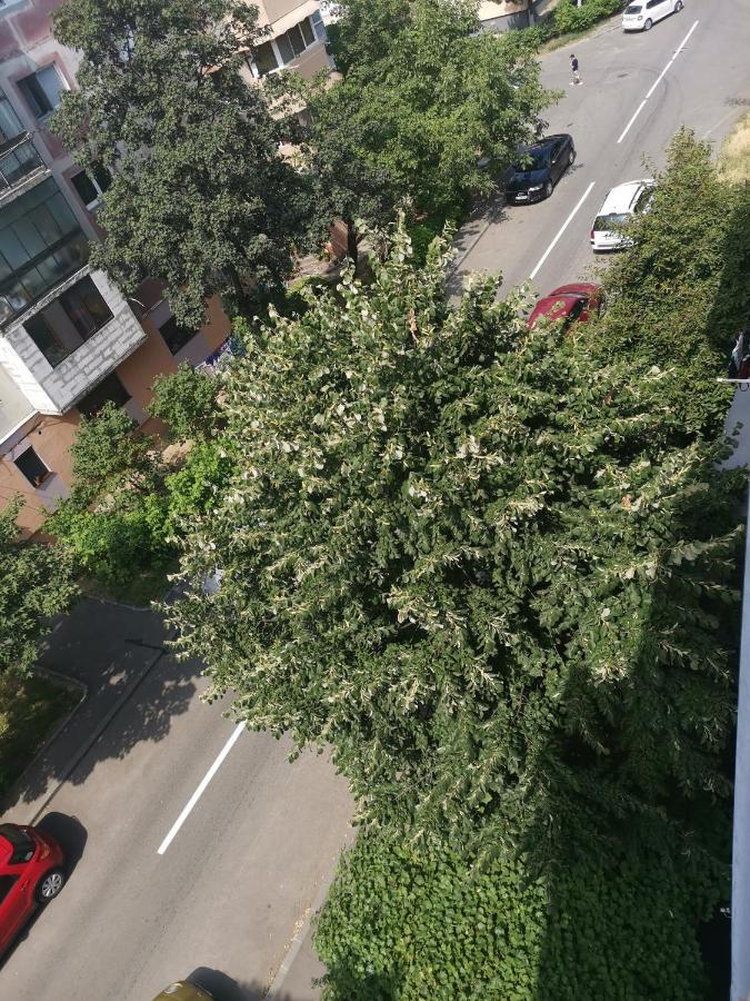 Bloom Box Apartments Craiova Dış mekan fotoğraf