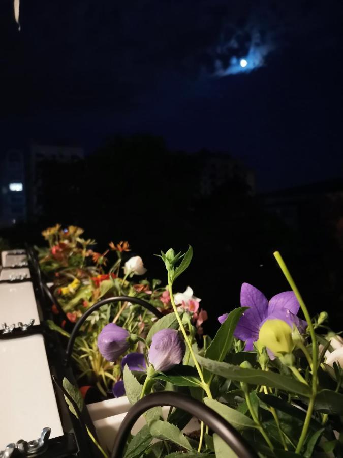 Bloom Box Apartments Craiova Dış mekan fotoğraf