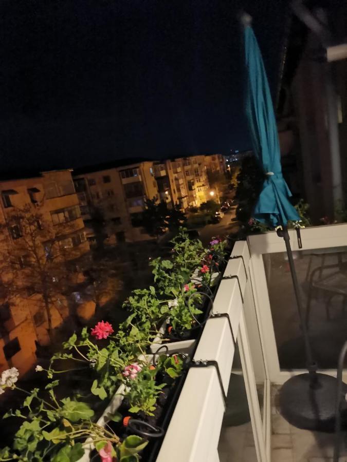 Bloom Box Apartments Craiova Dış mekan fotoğraf